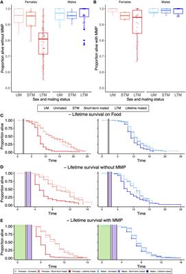 Sex Matters: Effects of Sex and Mating in the Presence and Absence of a Protective Microbe